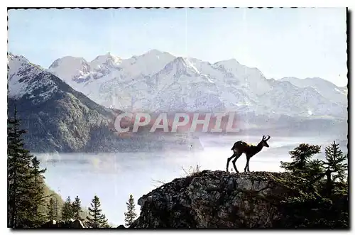 Cartes postales moderne Chamorse dans les Alpes