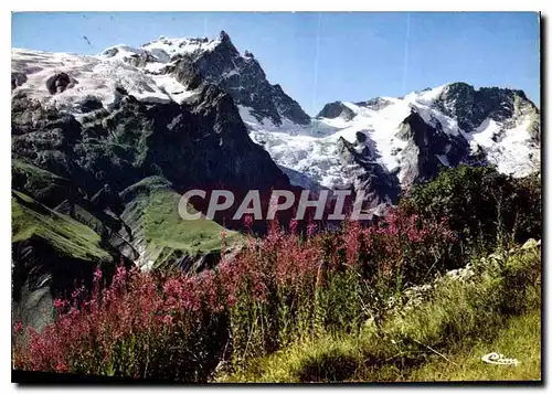 Moderne Karte Les Alpes Francaises La Meije