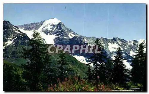 Cartes postales moderne Parc National de la Vanoise Le Mont Pourri La Face Quest Sur le versant de Peisey nancroix