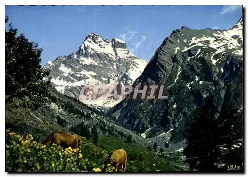 Moderne Karte Dans les Alpages du Mont Viso