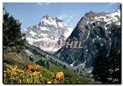 Moderne Karte Dans les Alpages du Mont Viso