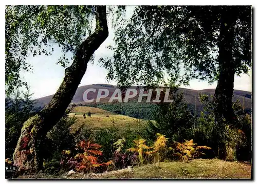 Cartes postales moderne Limousin Pittoresque Entre les Hautes Vallees de la Vezere et de la Correze Le Massif des Monedi