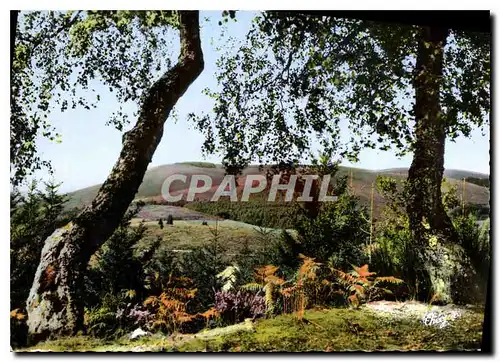 Cartes postales moderne La Limousin Pittoresque En Correze Les Monedieres