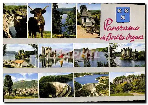 Cartes postales moderne Panorama de Bort les Orgues