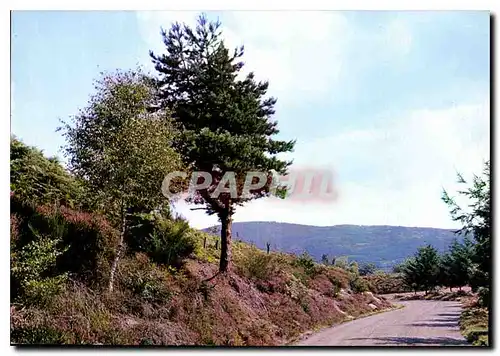 Moderne Karte La Correze Touristique Paysage de chex nous La Bruyere est fleurie