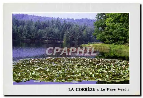 Cartes postales moderne La Correze Le Pays Vert