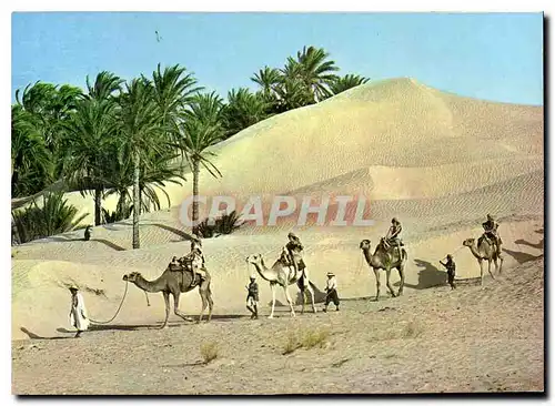 Cartes postales moderne Tunisie Caravane du Sahara