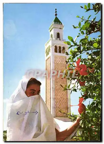 Cartes postales moderne La Marsa Le Minaret