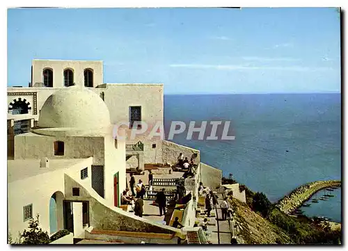 Cartes postales moderne Sidi Bou Said Cafe Sidi Chebaan