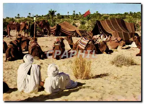 Cartes postales moderne Nefta Tunisie