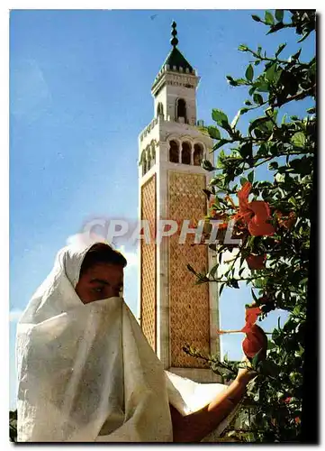 Cartes postales moderne La Marsa Le Minaret