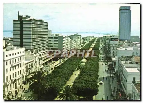 Cartes postales moderne Tunis avenue Bourguiba