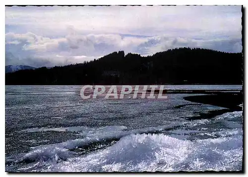 Cartes postales moderne Hiver Paillettes et couches glacees sur un Lac de Savoie