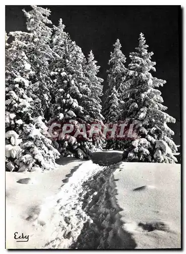 Cartes postales moderne Images de Chez Nous en Hiver Le sentier enneige