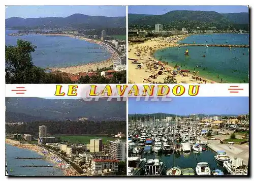 Cartes postales moderne Le Lavandou