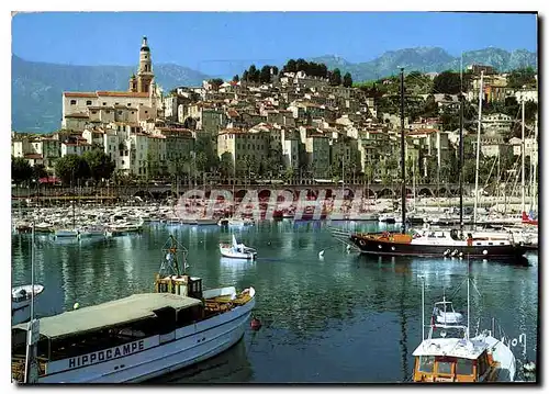 Cartes postales moderne La Cote d'Azur Menton Alpes Maritimes Le Vieux Port l'Eglise Saint Michel et la Vieille Ville