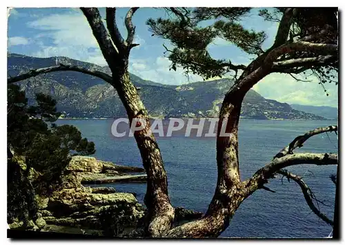 Cartes postales moderne Cote d'Azur St Jean Cap Ferrat Vue prise de la promenade Maurice Rouvier