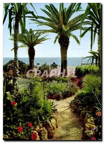 Cartes postales moderne La Cote d'Azur miracle de la nature Jardin fleuri