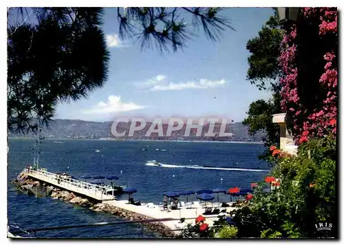 Cartes postales moderne Reflets de la Cote d'Azur Juan les Pins Echappee sur le Golfe Vue prise de l'Hotel Belles Rives