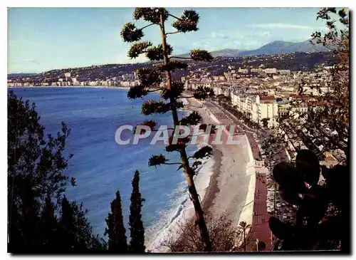 Cartes postales moderne Au Soleil de la Cote d'Azur Nice Vue generale