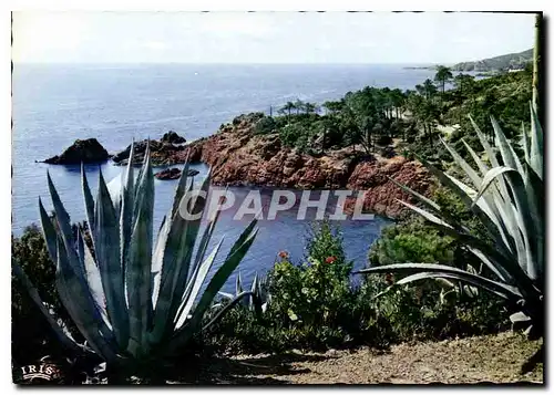 Cartes postales moderne La Corniche d'Or  Rivages mediterraneens