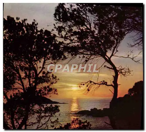 Cartes postales moderne Coucher de Soleil sur La Mediterranee