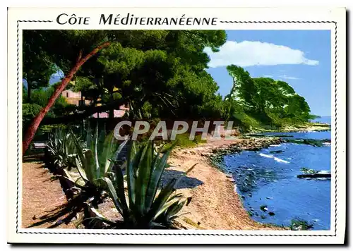 Cartes postales moderne Cote Mediterranee Calanques et pinedes