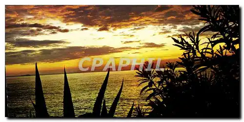 Cartes postales moderne Cote d'Azur Coucher de Soleil