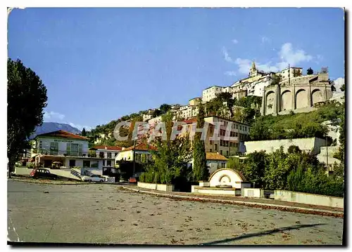 Cartes postales moderne Paysages de France Contes les Pins Alpes Maritimes