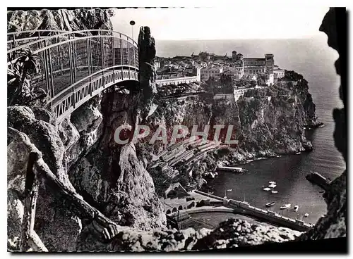 Cartes postales moderne Monaco Le rocher de Monaco et le stade Louis II Vue prise du Jardin exotique