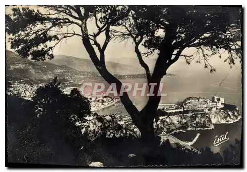 Cartes postales moderne Monaco Vue generale