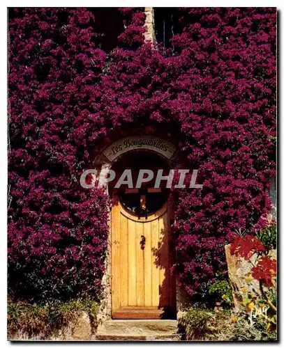 Moderne Karte La Cote d'Azur miracle de la nature Les Bougainvillees en fleurs