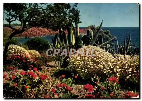 Moderne Karte La Cote d'Azur French Riviera Jardin fleuri