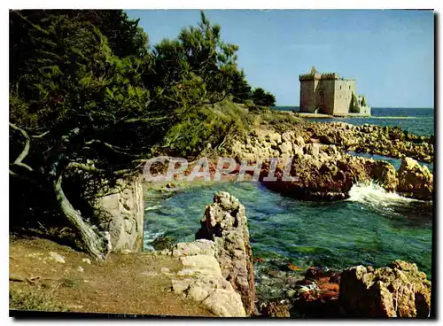 Cartes postales moderne Couleurs et Lumiere de France La Cote d'Azur miracle de la nature Ile Saint Honorat