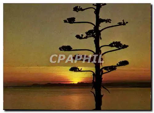 Cartes postales moderne Cote d'Azur Coucher de Soleil