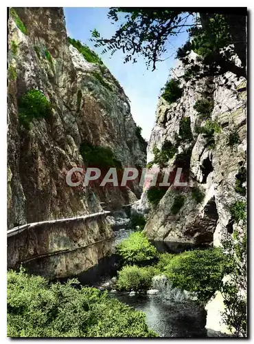 Cartes postales moderne Amelie les Bains Gorges du Mondony