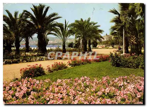 Cartes postales moderne Cannes Une partie des Jardins fleurist de La Croisette