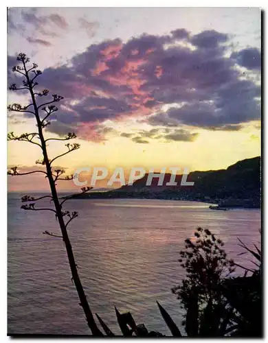 Cartes postales moderne Reflets de la Cote d'Azur Coucher de soleil