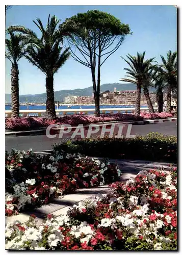 Moderne Karte La Cote d'Azur Cannes La Croisette