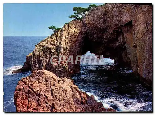 Cartes postales moderne La Cote d'Azur Corniche d'Or La Grotte marine de Gardanne