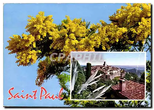 Cartes postales moderne Saint Paul Cote d'Azur French Riviera