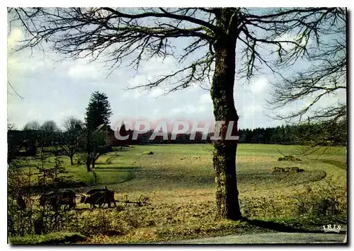 Cartes postales moderne En Limousin Immense recueillement de la nature