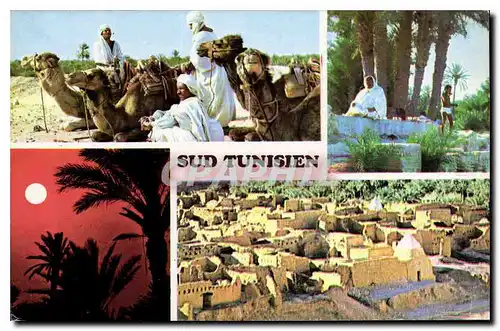Cartes postales moderne Sud Tunisien