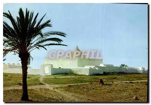 Cartes postales moderne Tunisie Djerba Mosquee sur la route de Mellita