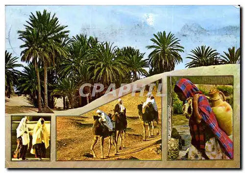 Cartes postales moderne Souvenir de Tunisie le Sud