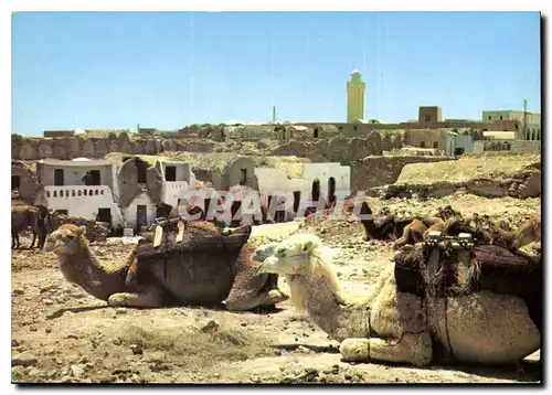 Cartes postales moderne Medenine les Ghorfas