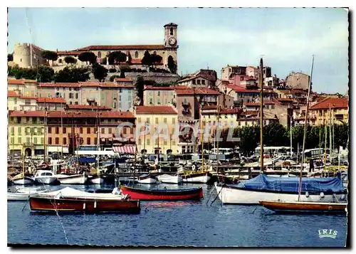 Cartes postales moderne Reflets de la Cote d'Azur Cannes A mme un coin du Port domine par le Suquel