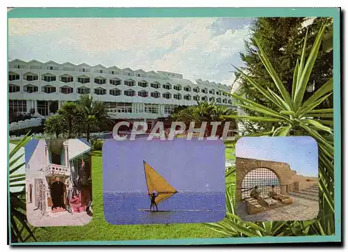 Cartes postales moderne Tunisie Hammamet et l'Hotel Phenicia