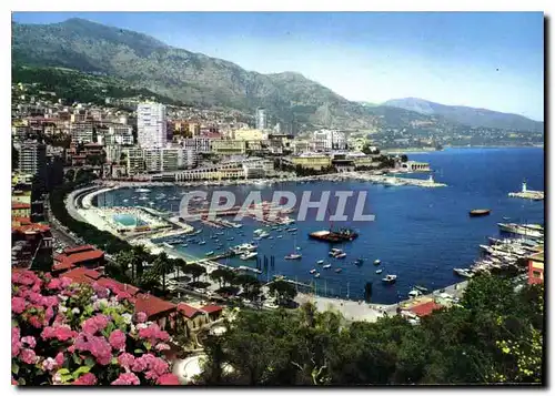 Cartes postales moderne Le Principaute de Monaco Monte Carlo le port