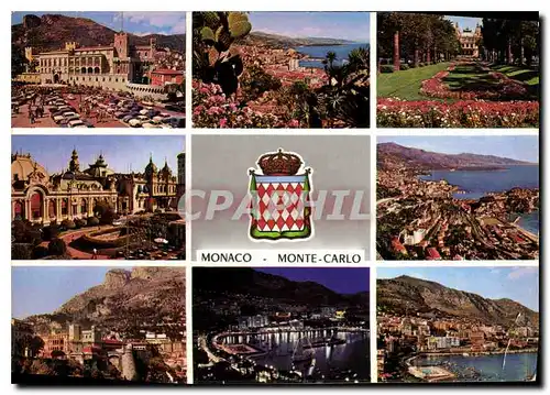 Cartes postales moderne Souvenir de la Principaute de Monaco